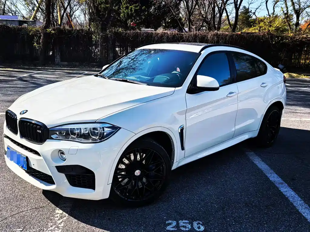 BMW X6 M 2019