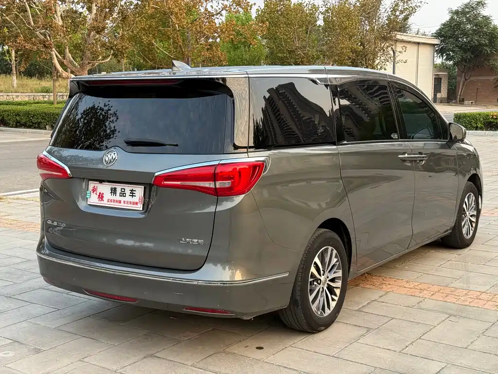 Buick GL8 — миниатюра 17