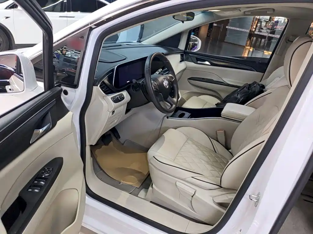 Buick GL8 — миниатюра 16