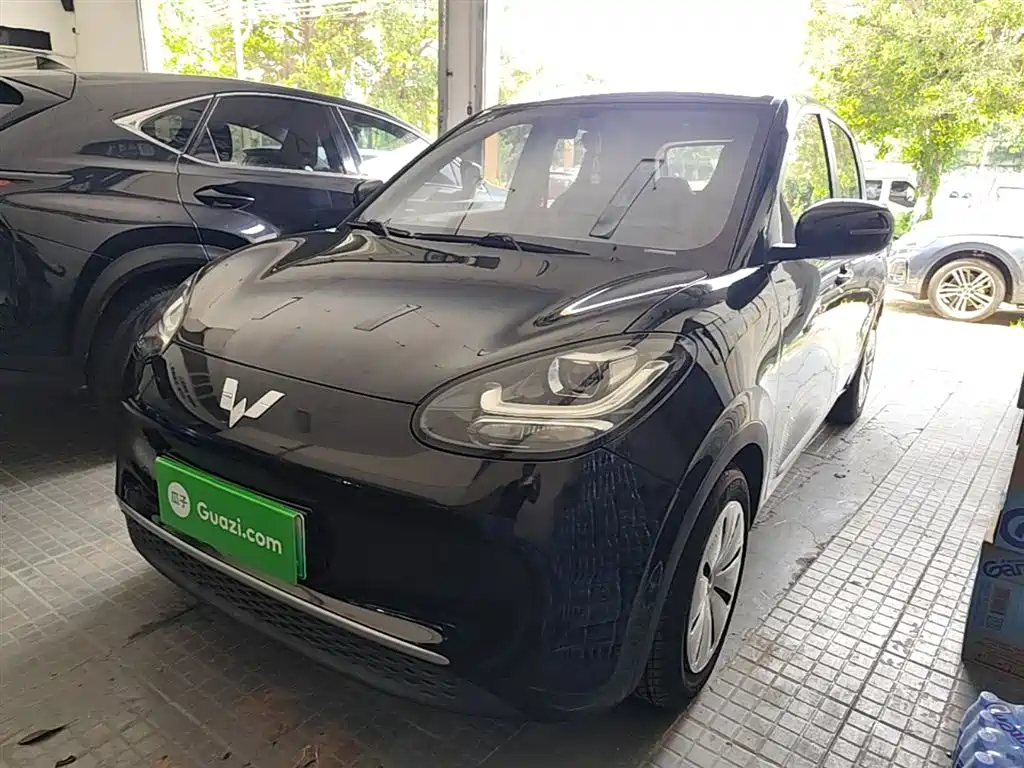 Wuling Binguo 2023 203km Light Enjoy