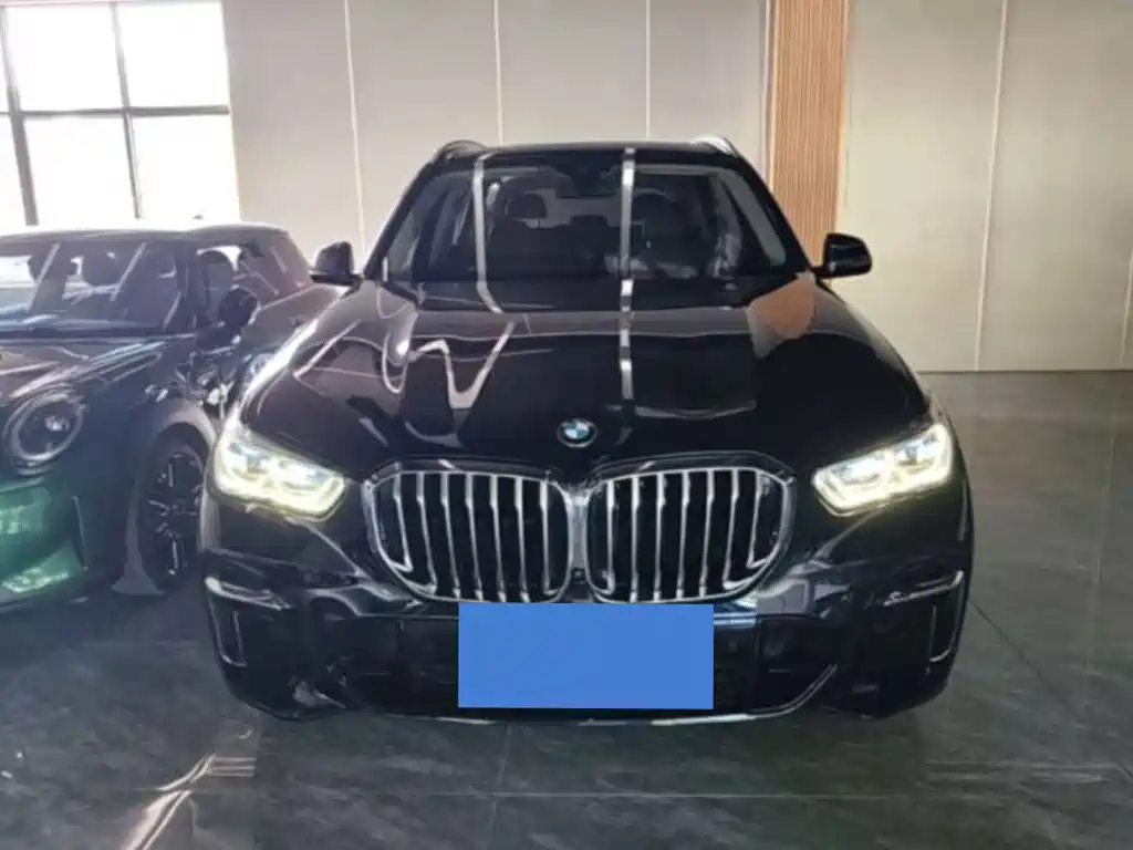 BMW X5 — миниатюра 2