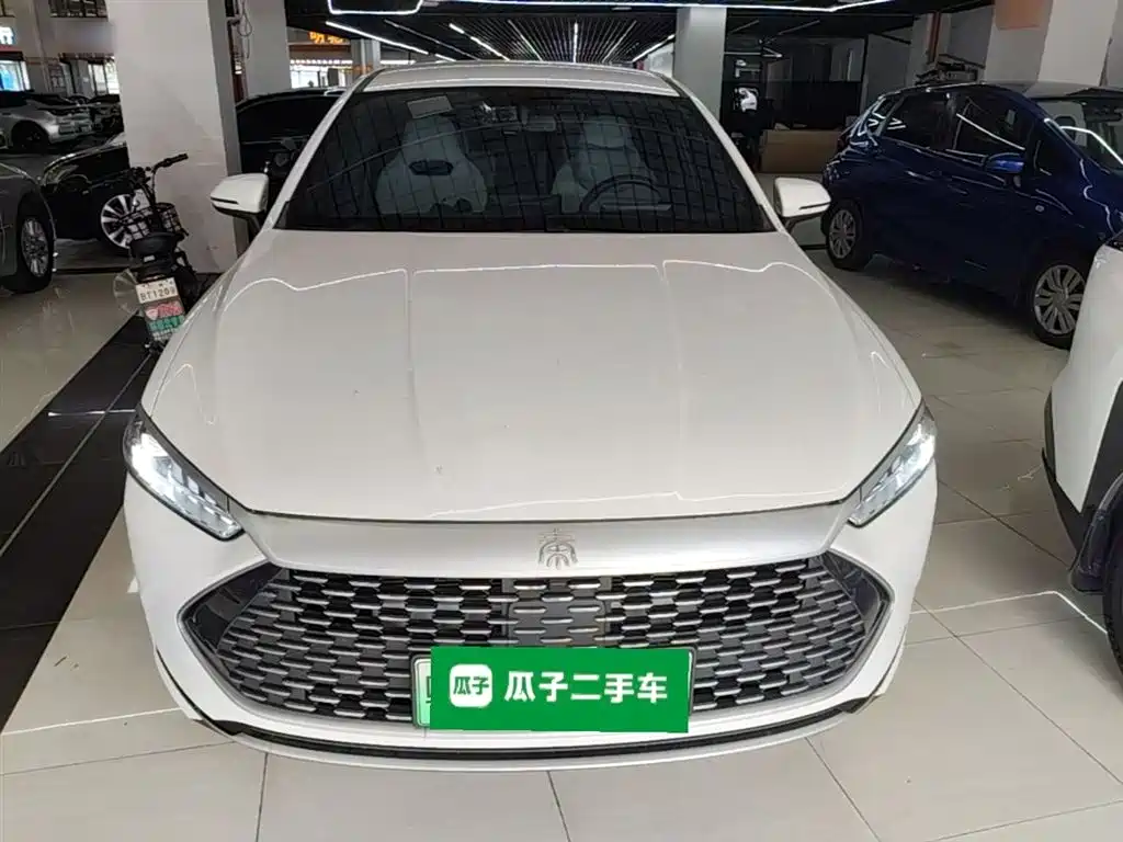 BYD Qin Plus PLUS 2023 Champion DM-i 55KM Lead