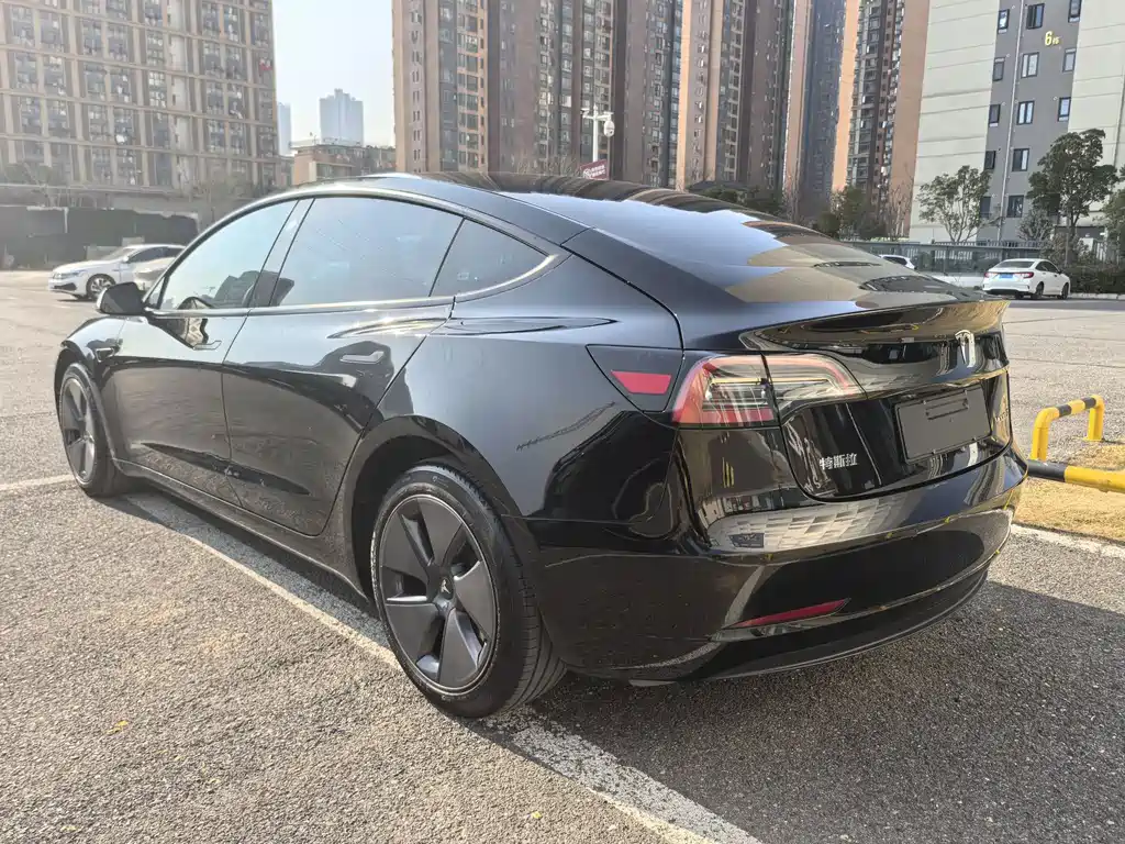 Tesla Model 3 — миниатюра 7