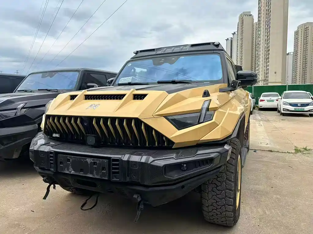 Mengshi Mengshi 917