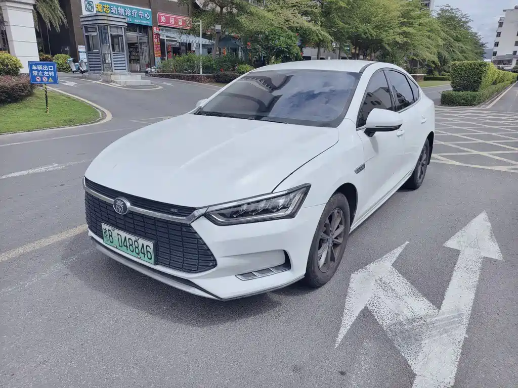 BYD Qin Pro Pro 2019 EV