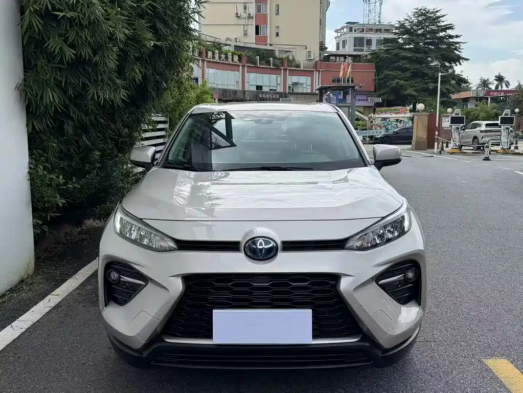 Toyota Wildlander 2020 2.5L E-CVT Luxury
