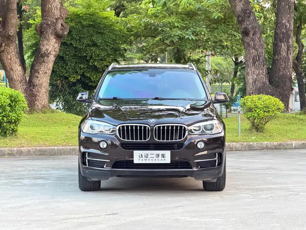 BMW X5 (Import) — миниатюра 2
