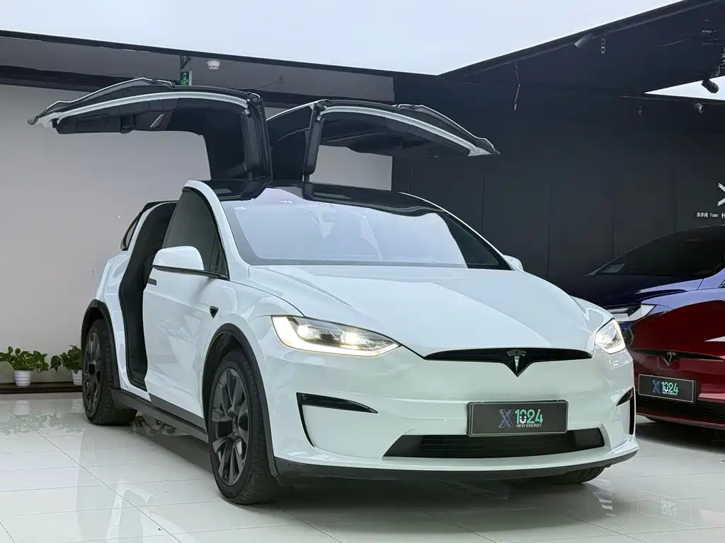 Tesla Model X — миниатюра 3