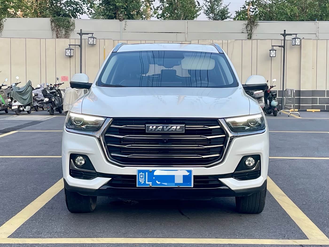 Haval Haval H6 1.5 л 2023 г. Белый, пробег 49000 км