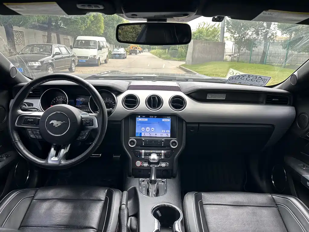 Ford Mustang — миниатюра 30