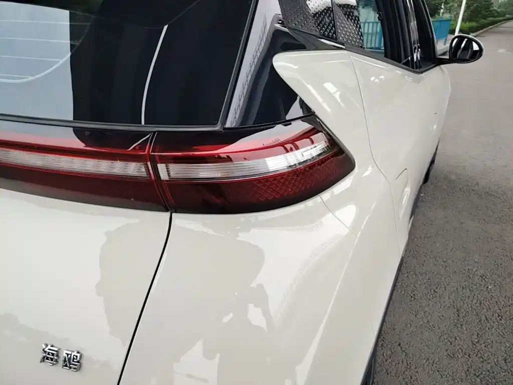 BYD Seagull 2025 305km