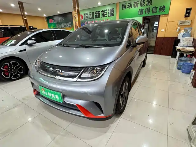 2022 BYD Dolphin