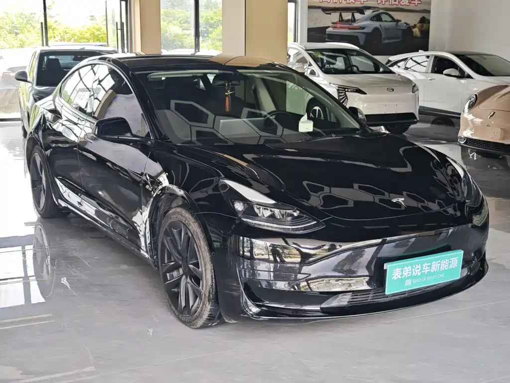 Tesla Model 3 2021 3D6