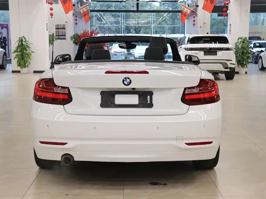 BMW 2 Series 2 2015 218i