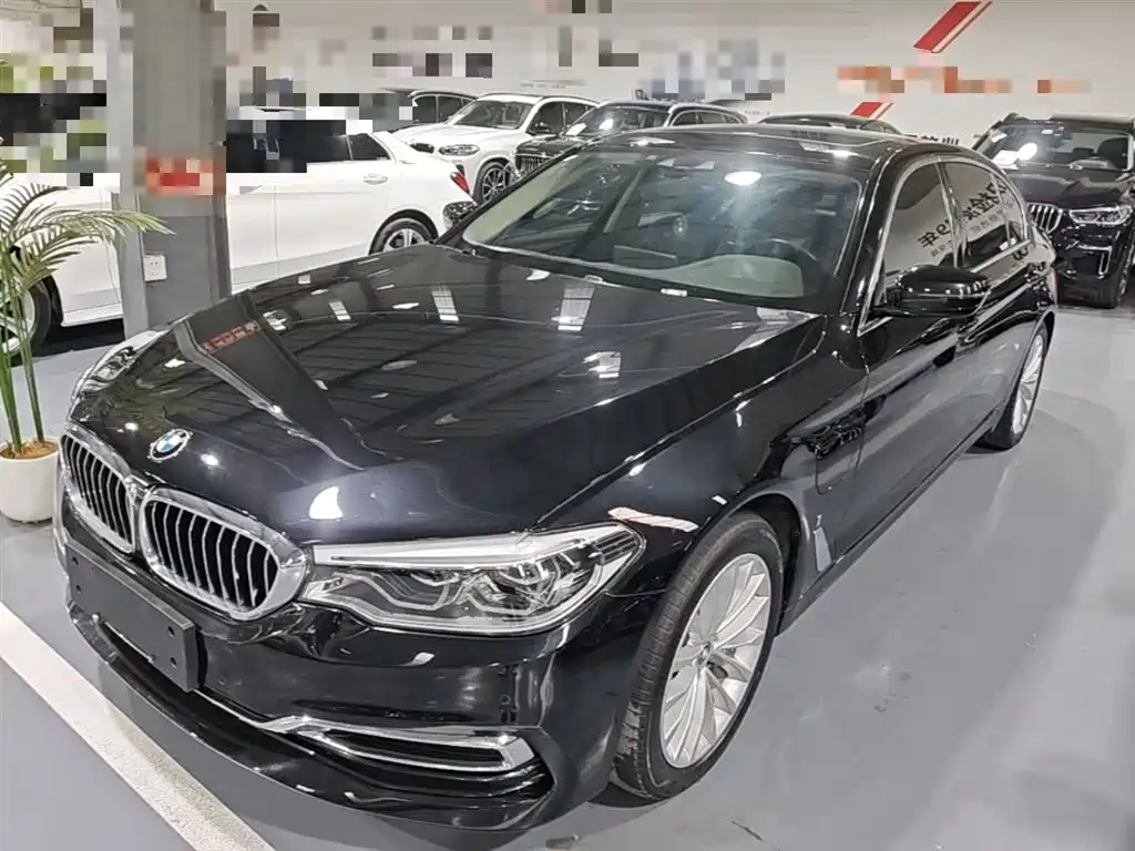 BMW 5 Series New Energy 2019