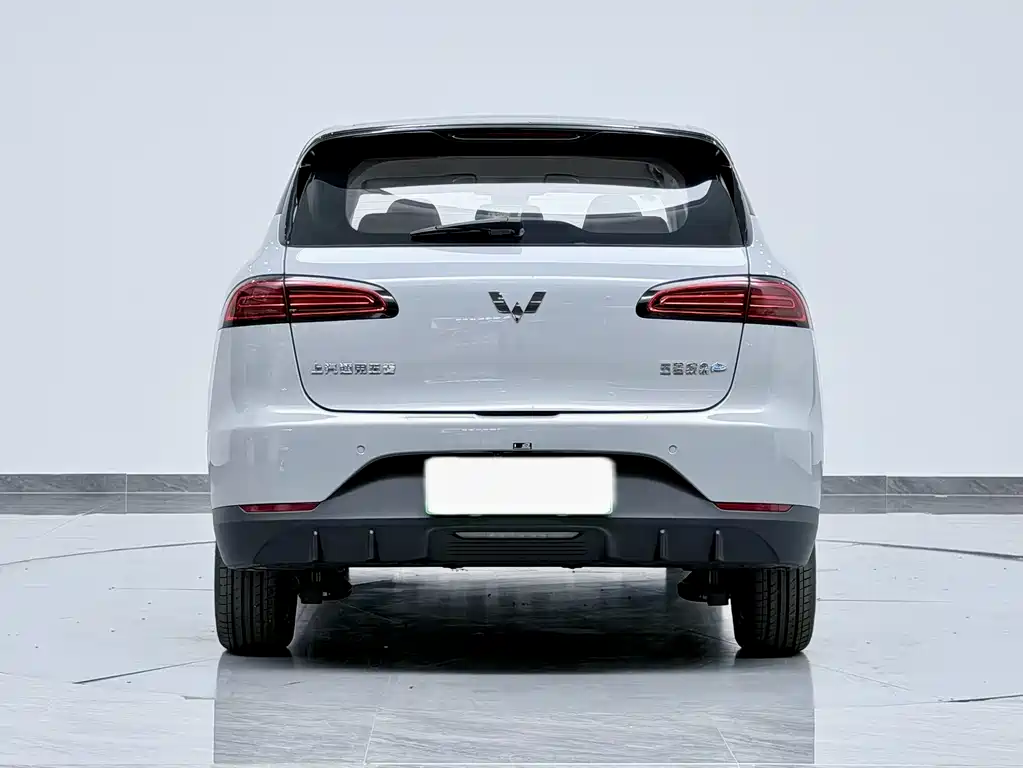 Wuling BinguoPLUS PLUS 2024 401km Flagship мест