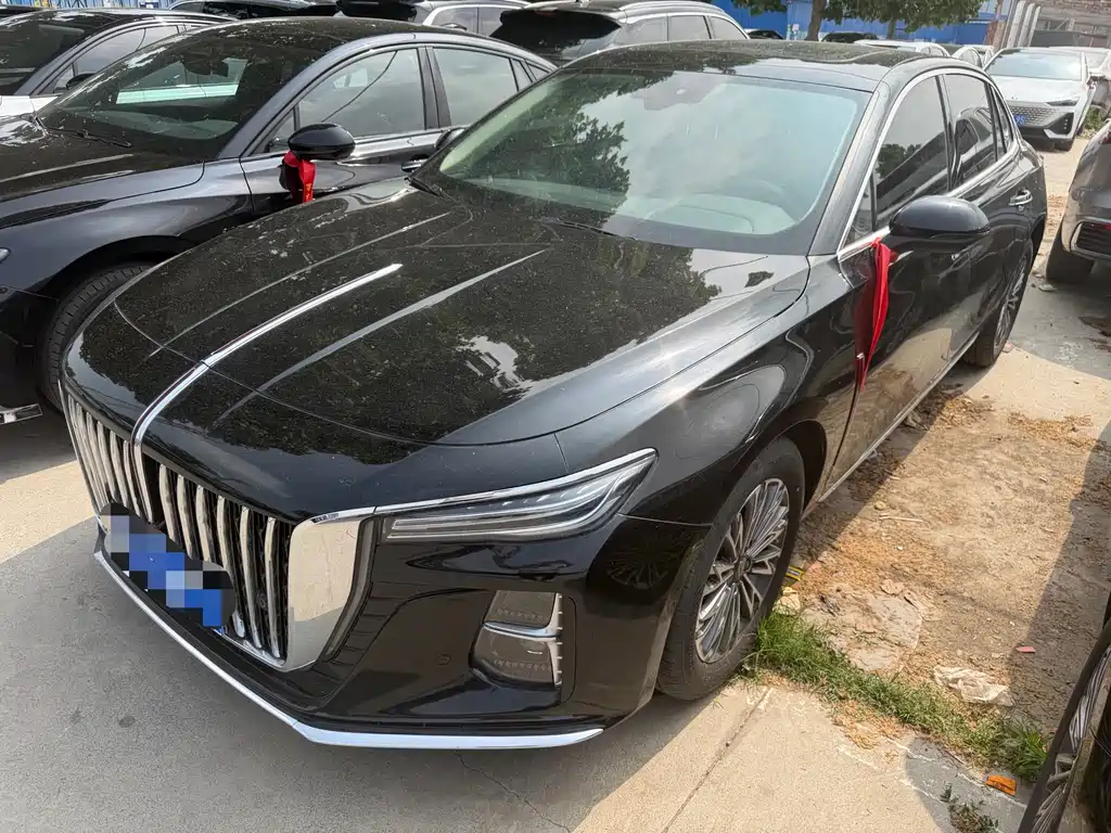 Hongqi Hongqi H5 2024