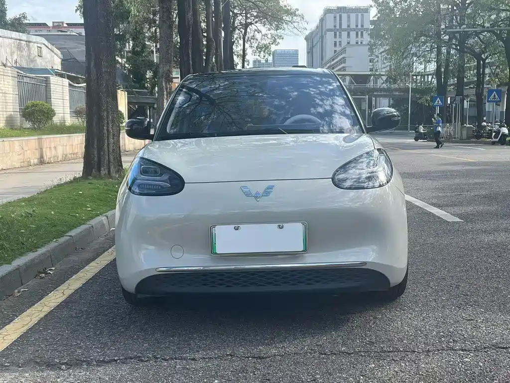 Wuling Bingo 2024