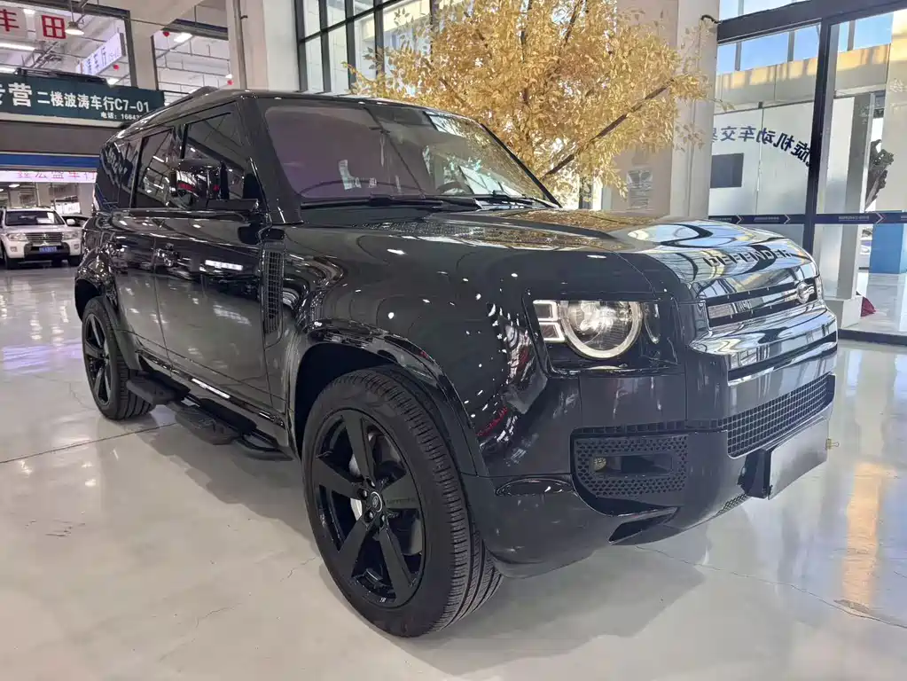 Land Rover Defender — миниатюра 9