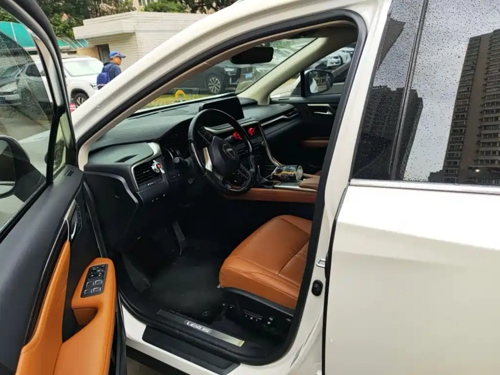 Lexus RX 2020 450h Luxury VI