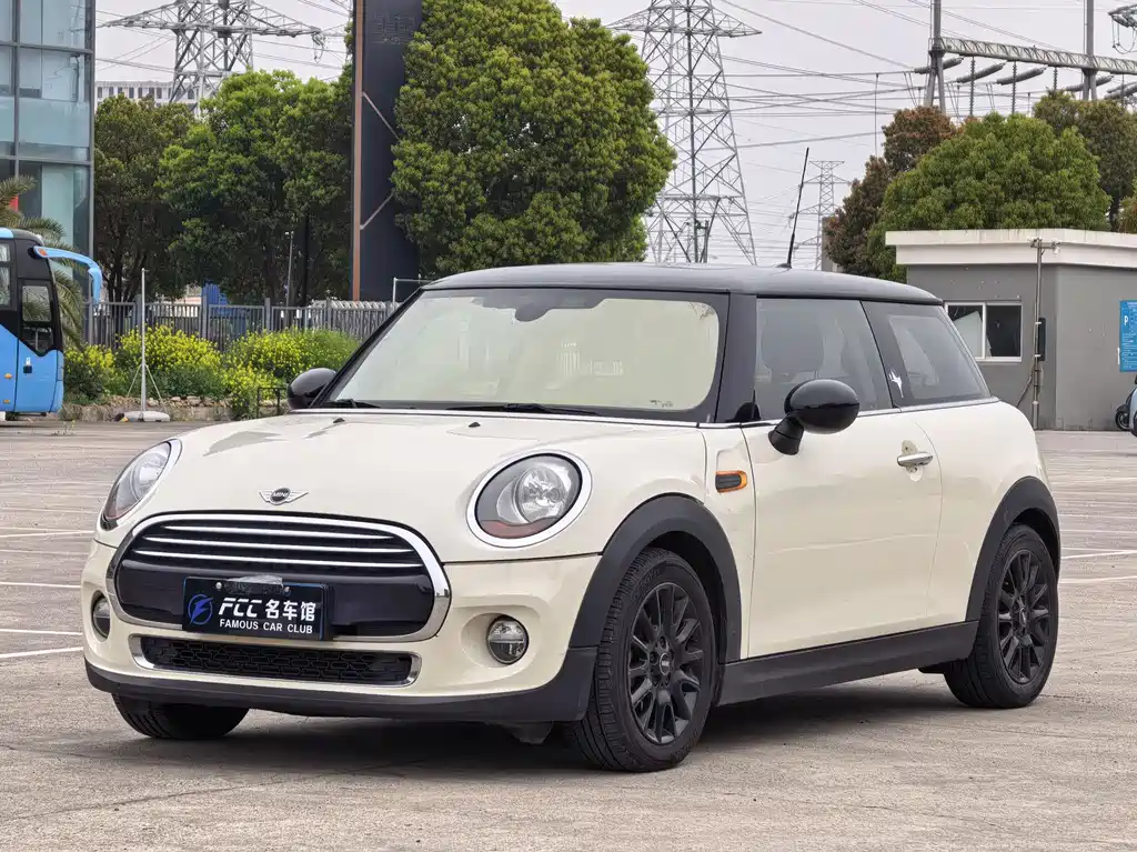 Mini Mini 2015