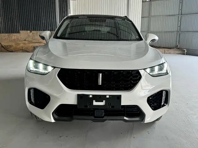 2019 Wey VV5