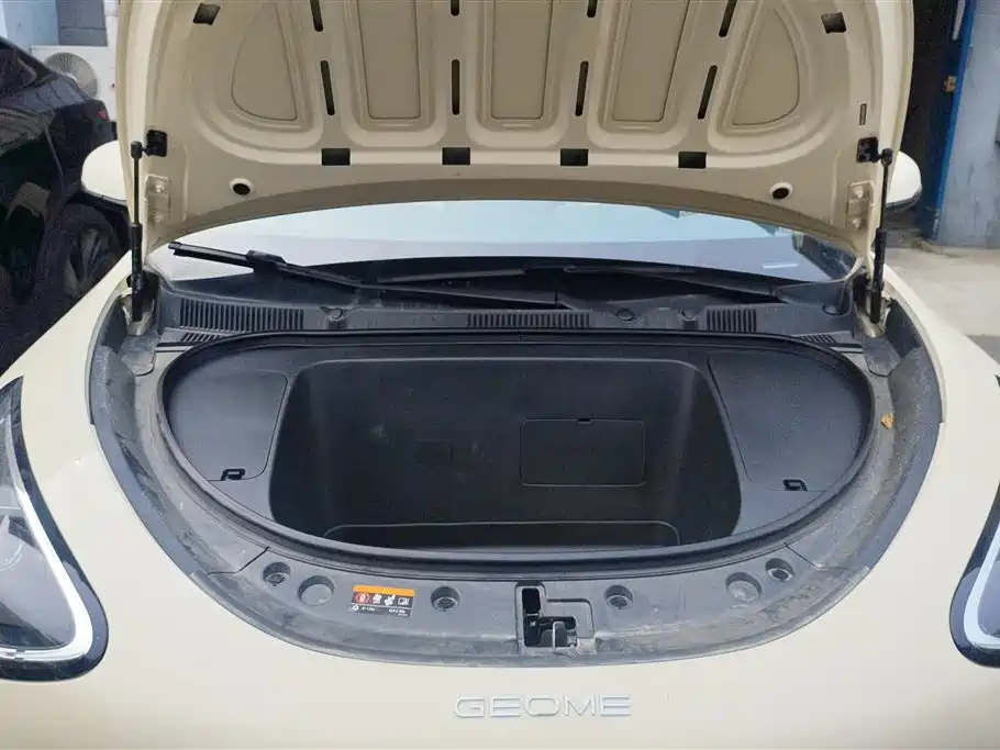 Geely Geome Xingyuan 2025 310km