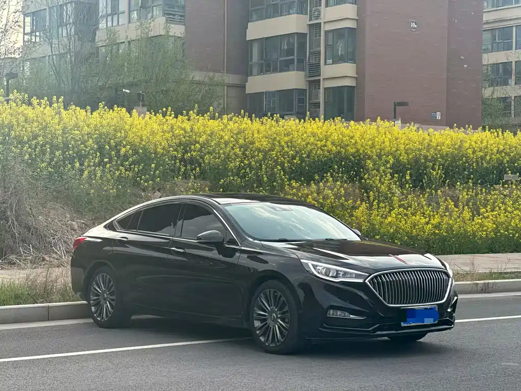 Hongqi Hongqi H5 2020