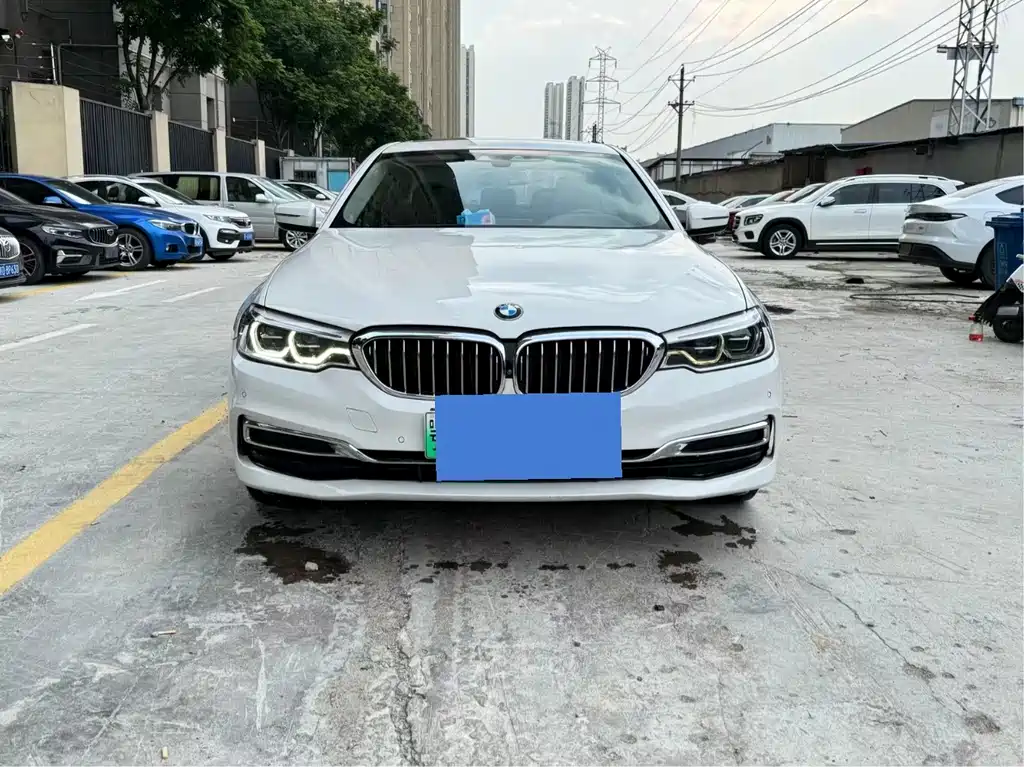 BMW 5 Series New Energy 530Le Luxury Package, фото 2