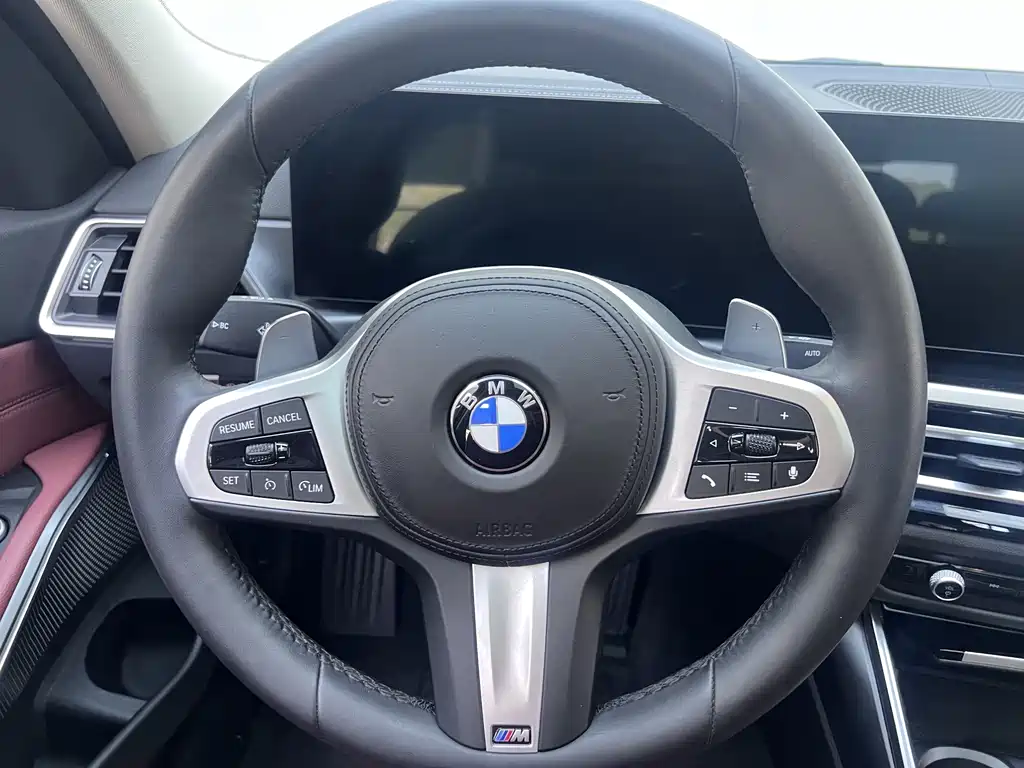 BMW 3 Series 320Li M Sport Package, фото 8