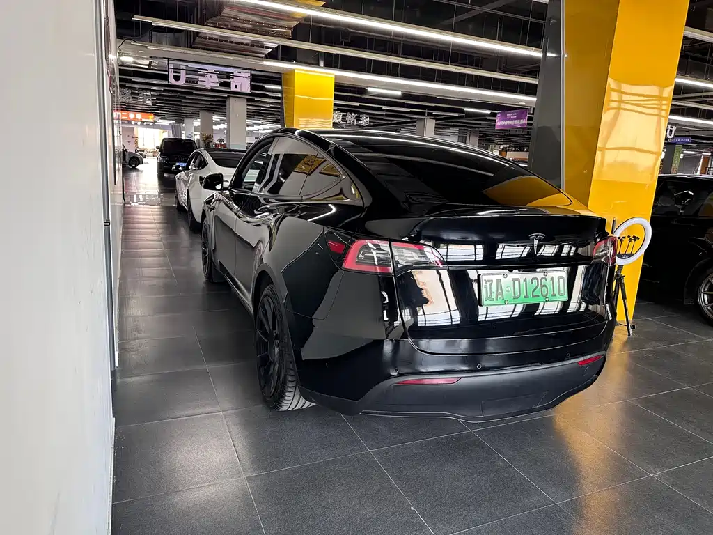Tesla Model Y — миниатюра 8