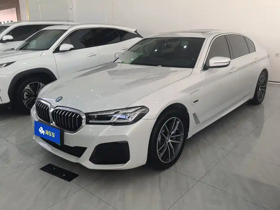 BMW 5 Series New Energy — миниатюра 2