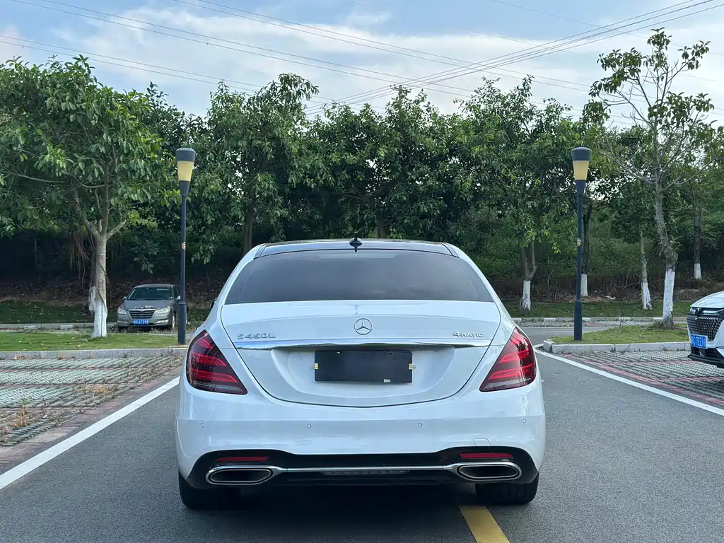 Mercedes-Benz S-Class S 2019 S 350 L Luxury