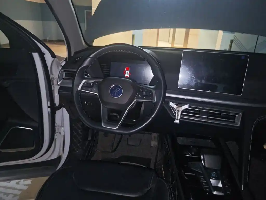BYD Pro — миниатюра 3
