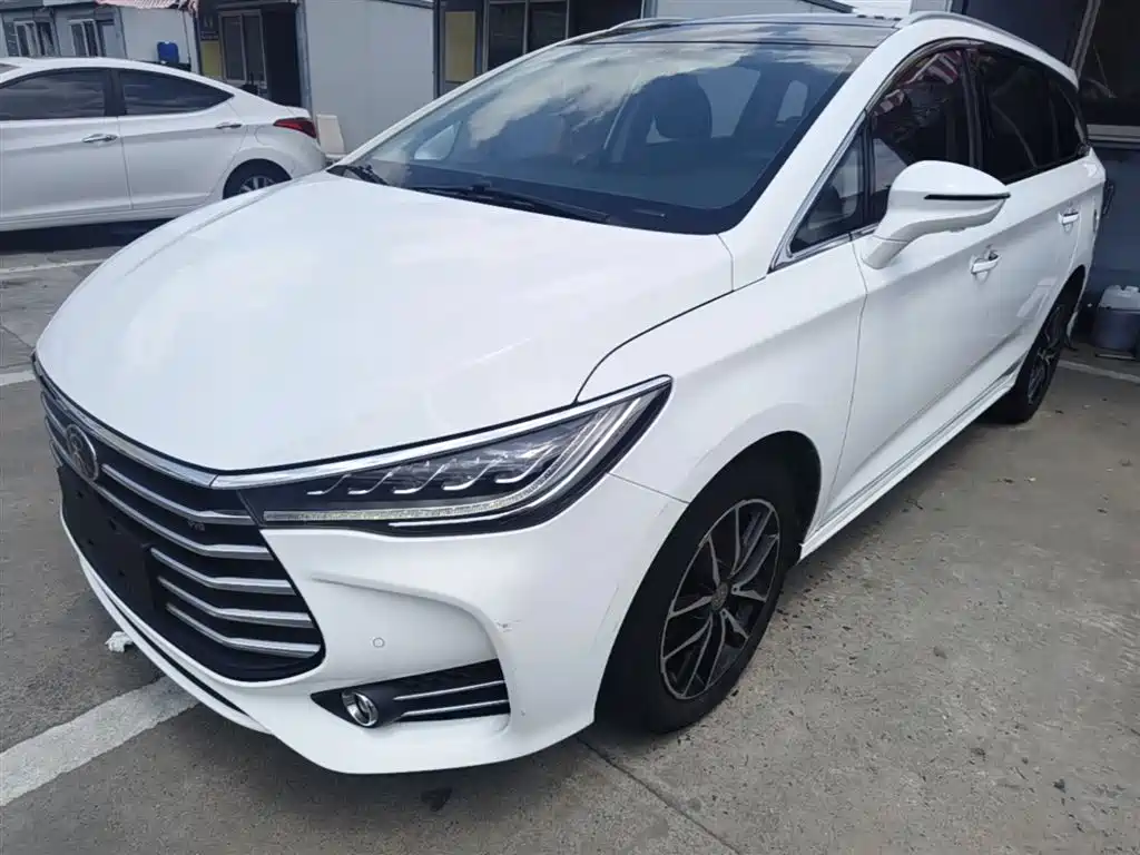 Byd MAX 2018