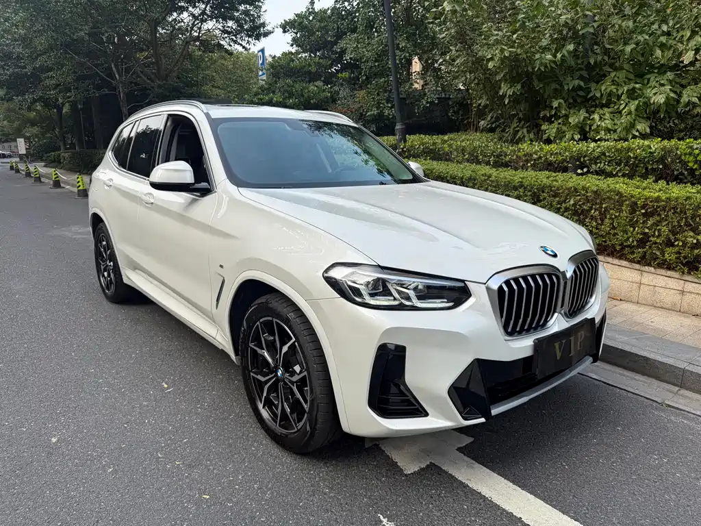 BMW X3 — миниатюра 3