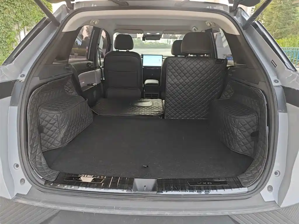Venucia VX6 — миниатюра 19