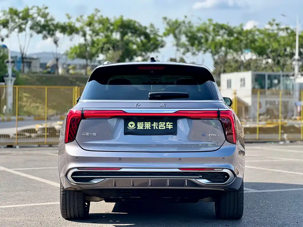 Hongqi E-HS9 2021 510km мест