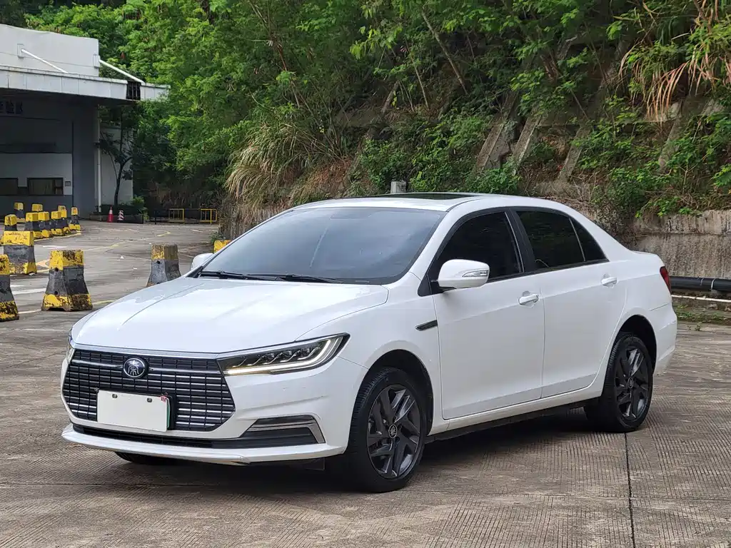 Byd Qin NEV 2020