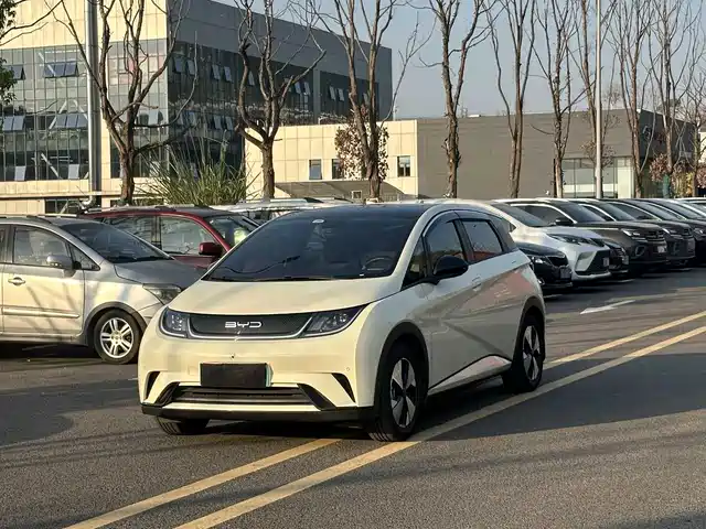 2023 BYD Dolphin