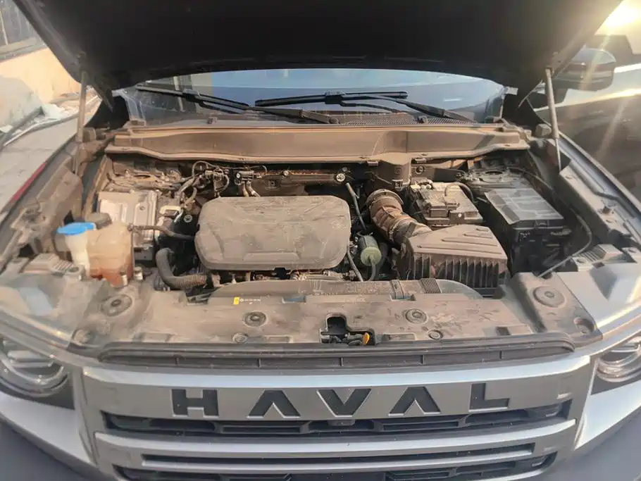 Haval Big Dog — миниатюра 10