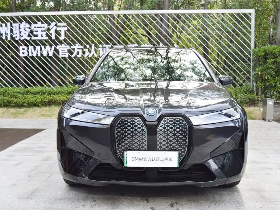BMW iX — миниатюра 2