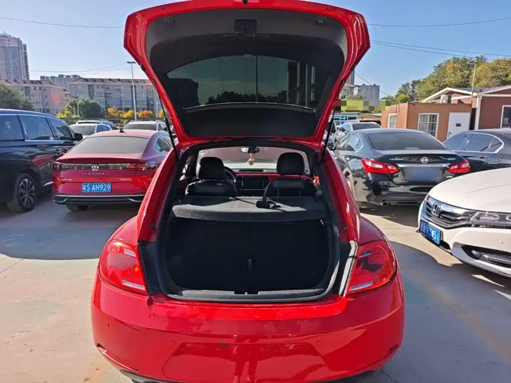 Volkswagen Beetle — миниатюра 19