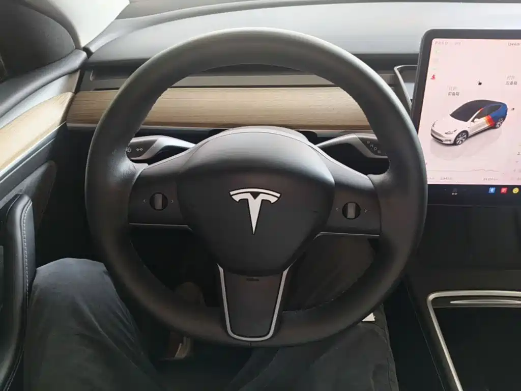 Tesla Model Y — миниатюра 11