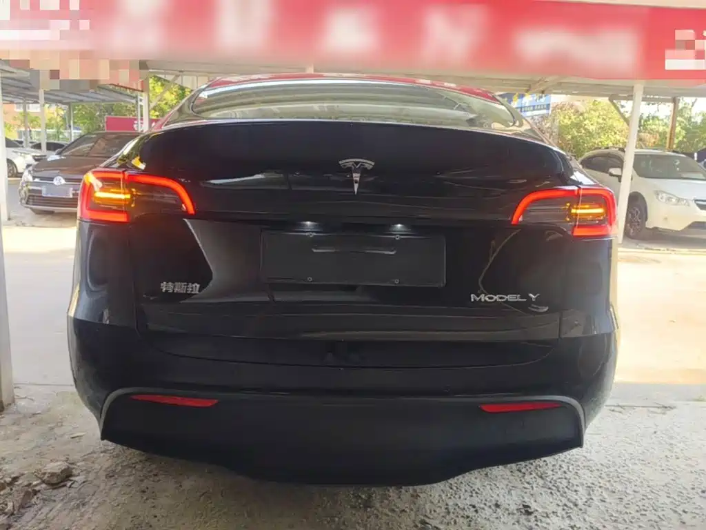 Tesla Model Y — миниатюра 6