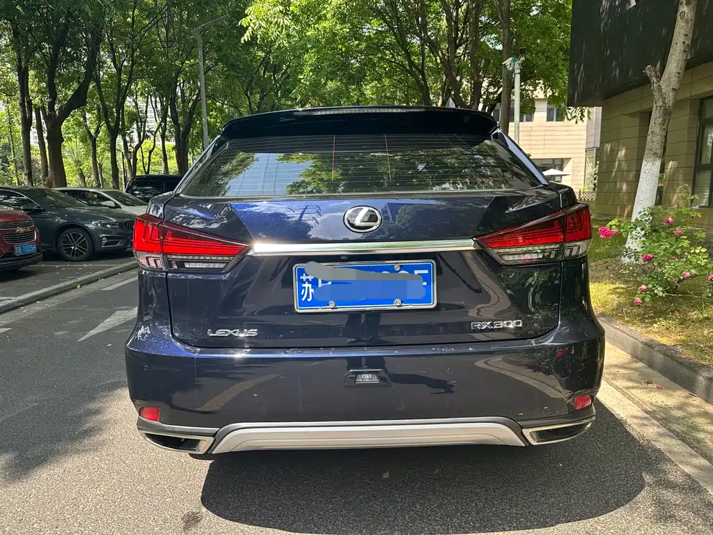 Lexus RX 2020 300 Elite