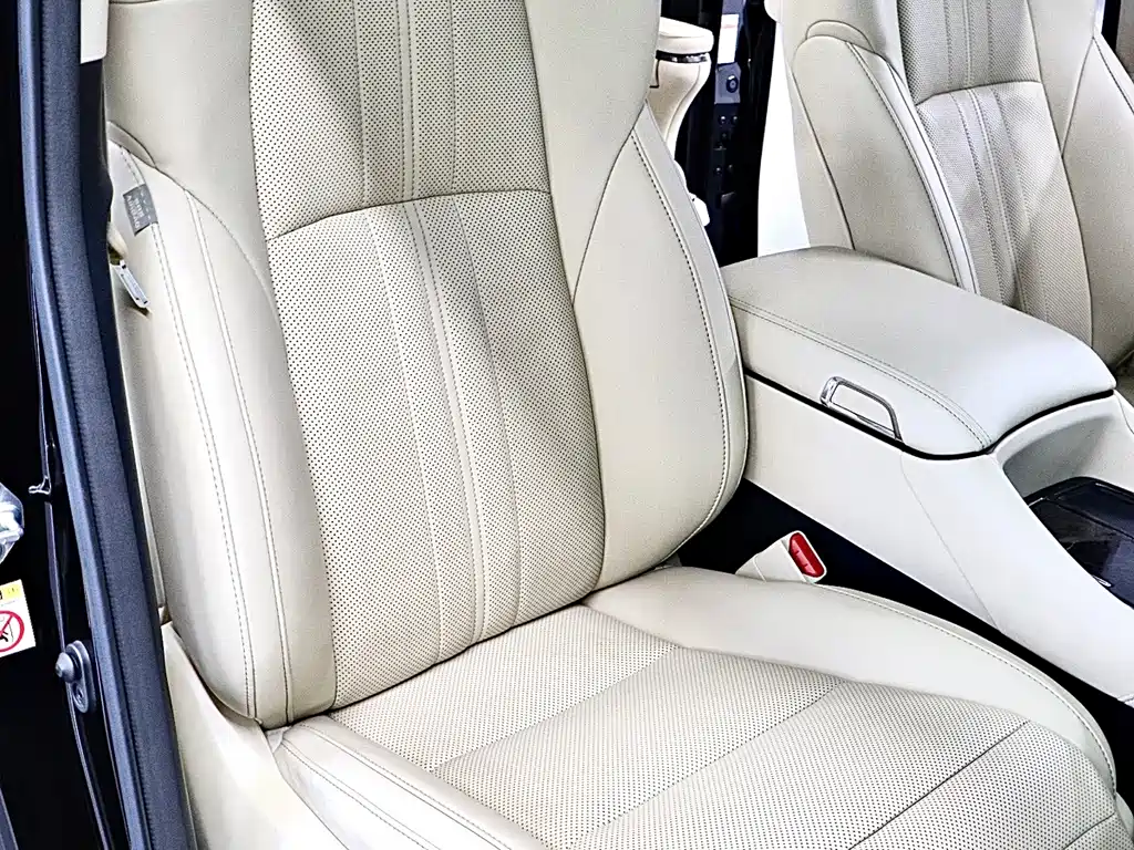 Toyota Alphard — миниатюра 16