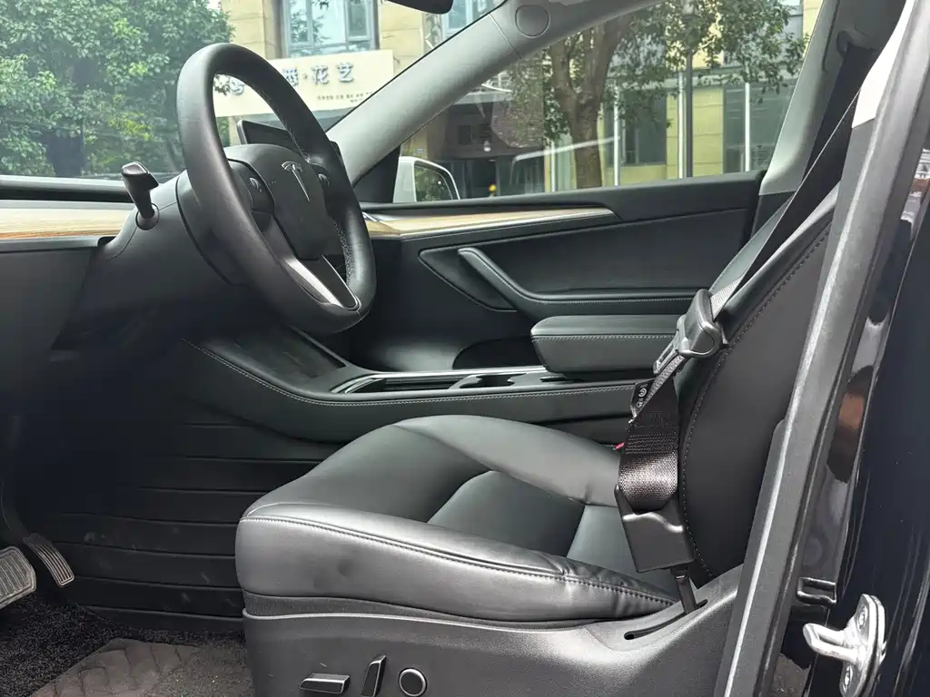 Tesla Model Y — миниатюра 11