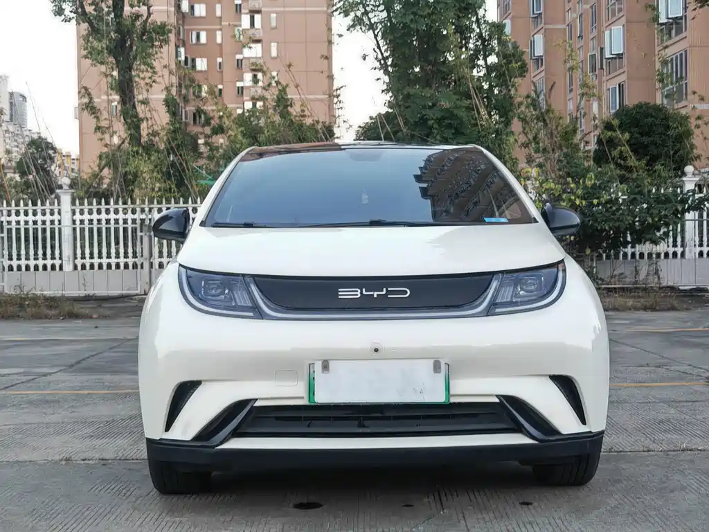 BYD Dolphin — миниатюра 2