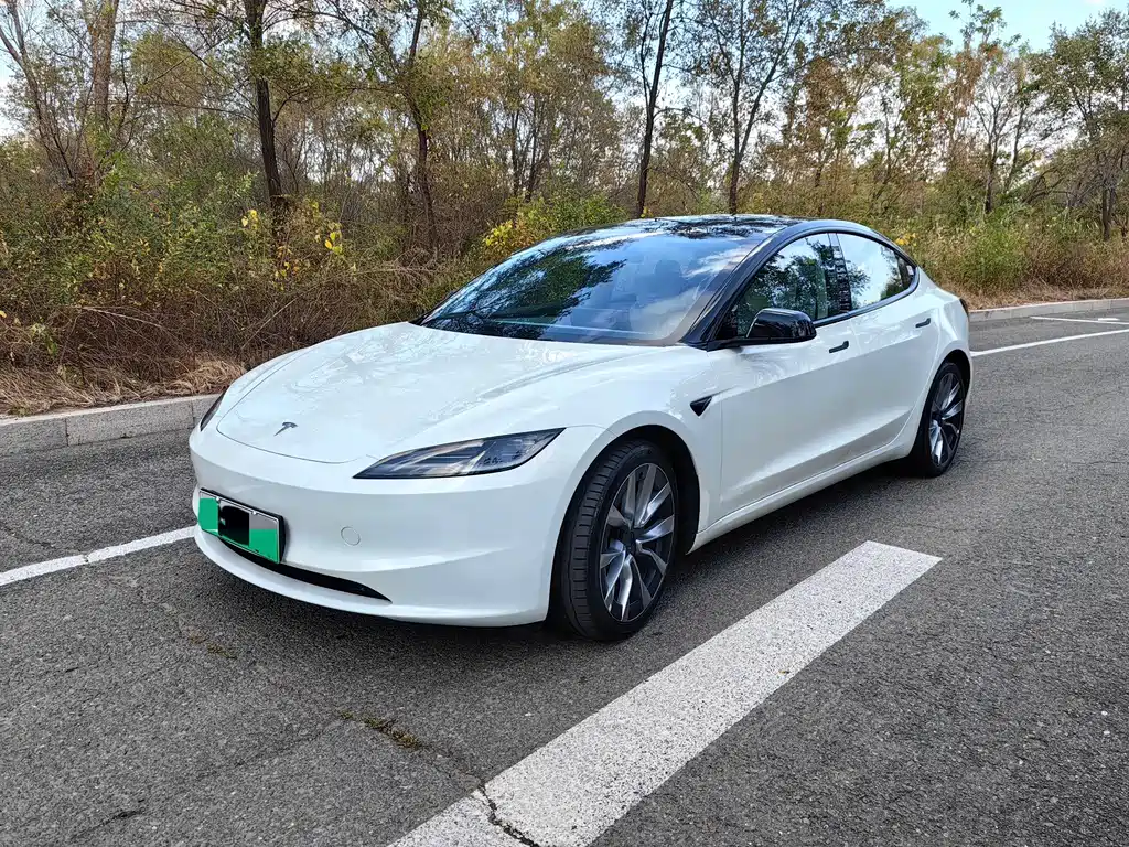 Tesla Model 3 — миниатюра 3